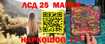 сатива Кингисепп