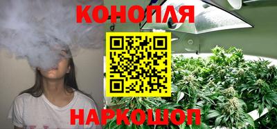 spice Коммунар