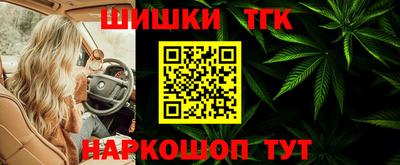 сатива Кингисепп