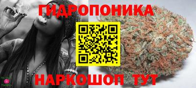 прущие крисы Кимры