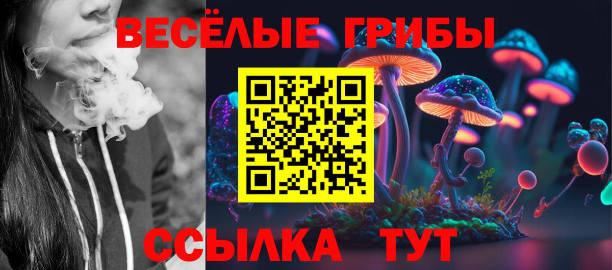Псилоцибиновые грибы Psilocybe Конаково